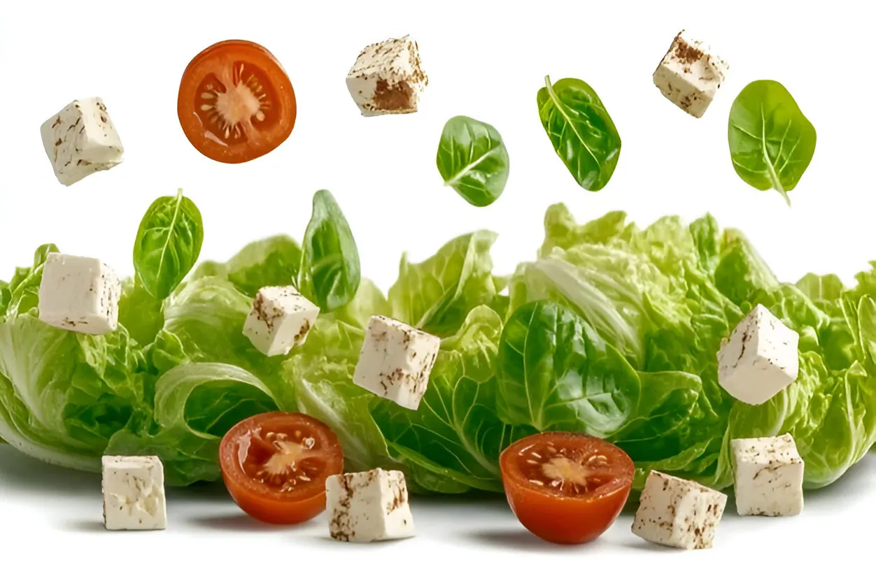 Vegetables or Tofu